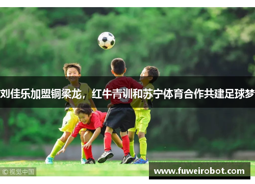 刘佳乐加盟铜梁龙，红牛青训和苏宁体育合作共建足球梦